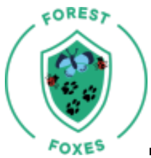 Forest Foxes